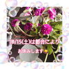 「ごめんねー\(//∇//)\週末は会えないの　出雲駅前【鍋や中じい】」