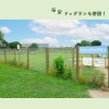 「荒川運動公園バーベキュー広場【トリコカワグチ掲載店のご紹介】」