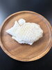 白くて，もちもちしています「冷やしもちもちたい焼きが人気です！」