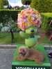 緑あふれる公園と愛犬との時間「横浜山下公園♬春バラと紫陽花をワンちゃんとお散歩U*^_^*U」