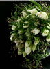 「男性への花束」