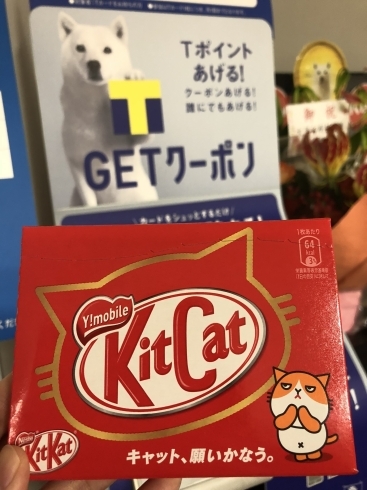 「ワイモバイルのアンケートに答えて、KitKat（Kit Cat）をもらおう！」