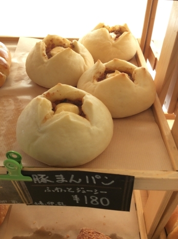 「新商品  豚まんパン ～伊奈町のパン工房    ぱん田屋～」