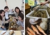 「3連休は八千代で海鮮食べ放題！！　【八千代店172号】」