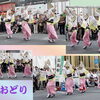 【No.129】　新宿芸術天国2013 No.4