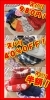 「今日限り特価品いっぱいです！！」