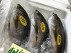 「魚魚市場鮮魚コーナーおすすめは「白エビ」です♪」