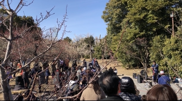 「豊橋うめまつりイベント日【午後2時半】」