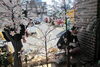 「桜のイルミネーション」