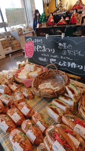 「おいしさ色々パンまつり開催中★」