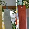 「Teacher'sコーナー221号 Happy Star Festival!【千葉のならいごと　英会話スクール】」