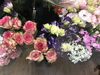 「花活(ﾊﾅｶﾂ)( ᐛ )و」