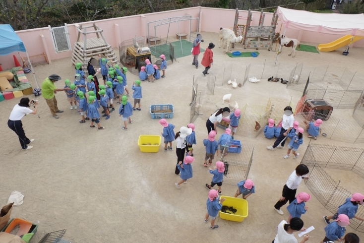 「一日動物園　　親子体操の予約は「空」があります。」