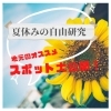 【磯子区・金沢区☆夏休み2022】夏休みの自由研究の駆け込みは地元がおすすめ！イソカナのおすすめスポット大公開♪