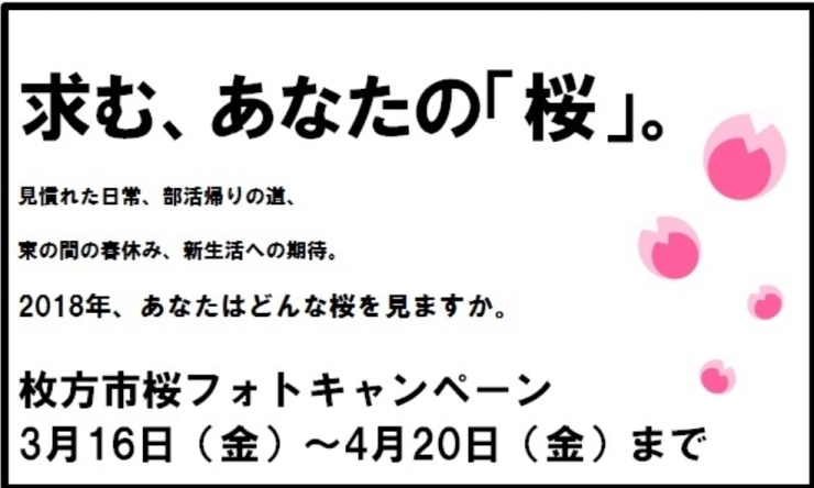 「インスタグラムで 桜のフォトキャンペーン開催します！」