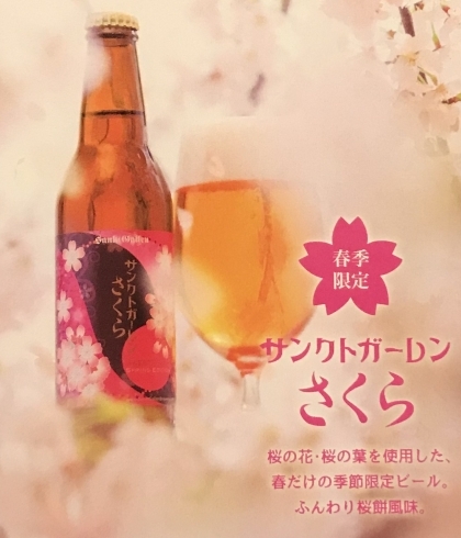 「次のゲストビールはなんと！さくら」