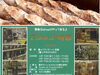 「4／13金、14土、15日はZakka時間 in テクノホール」
