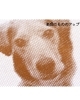 「フォトフラッシュを使って愛犬グッズを作成してみませんか？」