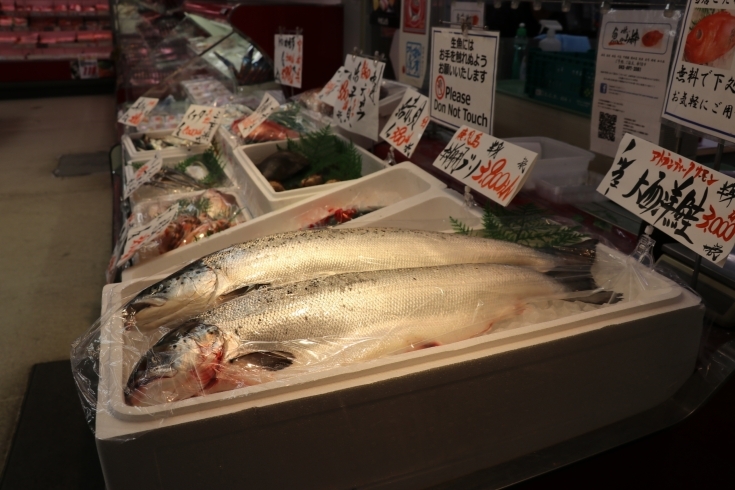 「八千代市、佐倉市の鮮魚店   　 魚や山粋　  地魚飾り売り。」