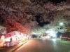 「お花見の後は八千代の活き活き家で【八千代店180号】」