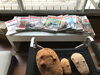 「博労町駅そば 出張所 なんとなくスタート（笑）」
