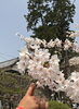 「今週もはじまりました」