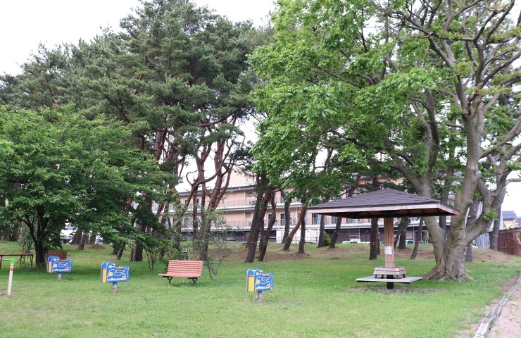 東区空港西 花海道東公園 新潟市の公園特集 まいぷれ 新潟市 東区空港西 花海道東公園 新潟市の公園特集 まいぷれ 新潟市