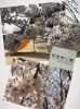 「360度隙のない花嫁様に❤」