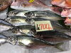 「魚魚市場鮮魚コーナーおすすめは「伊勢エビ・アジ」です♪」