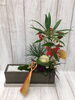 寄せ植え盆栽「♬　飾り盆栽　♬」