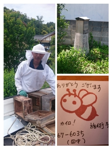 「養蜂✨日本みつばちのこと」
