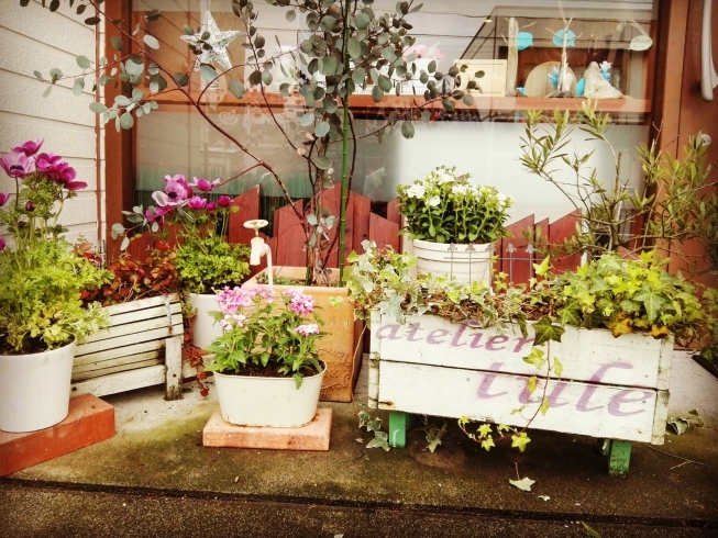 「春は　お花の季節です」