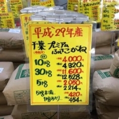 当社売れ筋、千葉県匝瑳市産の玄米「プレミアムふさこがね」