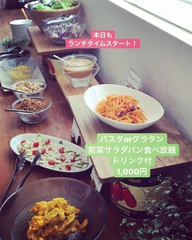 「ランチはパスタorグラタンにそして前菜・サラダ・パン食べ放題！ドリンク付き」