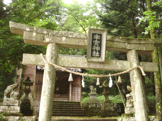 「今日の運勢 ７月１日水曜日　☆運気予報★」