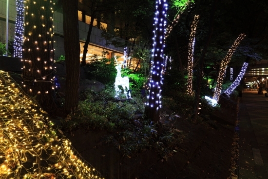 京王プラザホテルの雑木林のイルミネーション<br>ロビーのクリスマスデコレーションも一見の価値があります。
