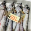 「魚魚市場鮮魚コーナーおすすめは「宮崎県産あゆ・チカメキントキ・ノドグロ」です♪」