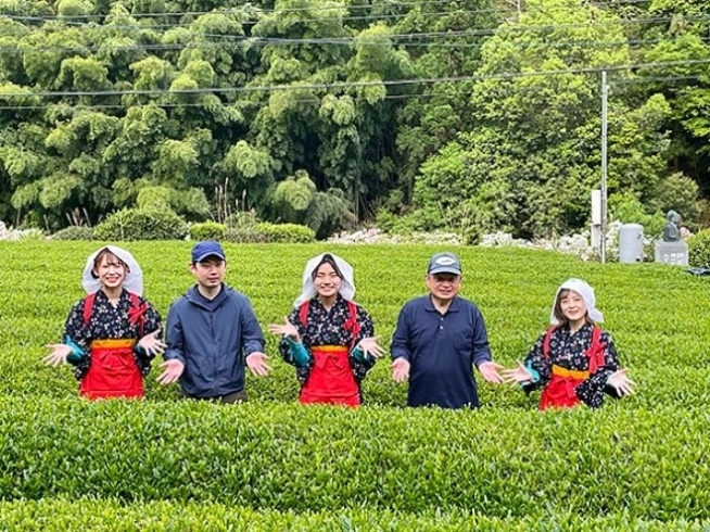 2022年に当社スタッフがお茶摘み・製造を体験「四国のまんなかでつくられる山のお茶「新宮茶」を使用した新スイーツが6月1日より新登場！」