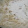 ルチンを豊富に含むそば湯を飲むとより健康的です「八王子蕎麦商組合」