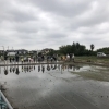 田植えをしたよ！