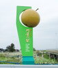 「酒田の限られた地域でのみ味わうことの出来る梨 part4」