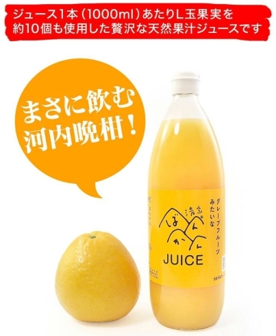 「5月12日(土)愛媛新聞折り込みチラシに登場！」