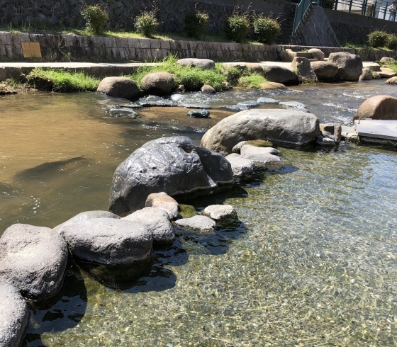 「本日の足湯場は  熱めの湯  でした、、、(ﾟoﾟ;;」