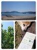 「海の青と✨里の青✨高浜オープンガーデンのご案内」