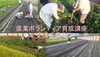 「【平成30年度】農業ボランティア育成講座　受講生募集について」