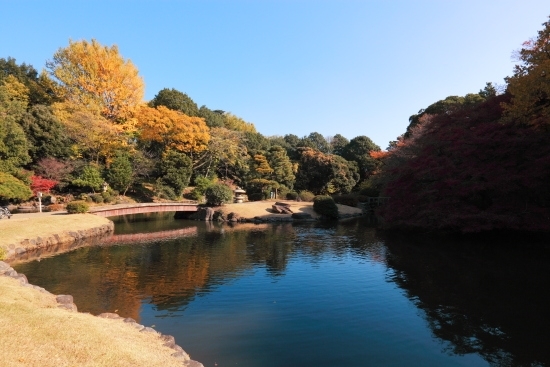 [玉藻池] 水面に映る紅葉と青空のコンビネーションが美しい池です。<br>近くの大木戸休憩所には、売店や自動販売機があり、一休みに良い場所です。