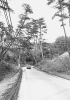 「新連載：ふるさとの峠と街道　その14-②」