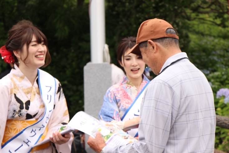 「開幕「花しょうぶまつり」午前10時」