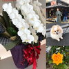 「説得して 、、させる。、、やめさせる。これを英語で！」