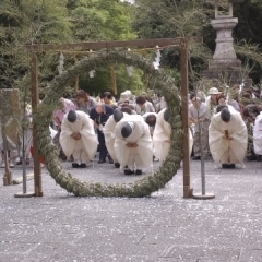 30日には夏越大祓を開催します